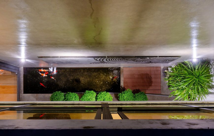 VILLA ĐÀ NẴNG 8PN #RBDN2