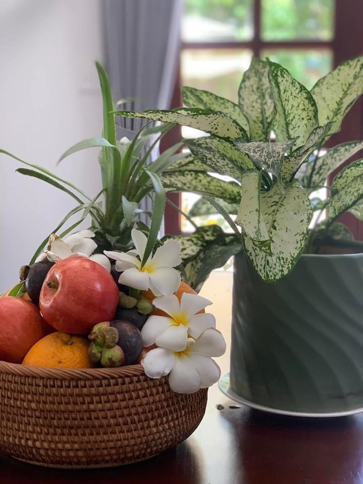 VILLA HỘI AN 6PN #RBHA2