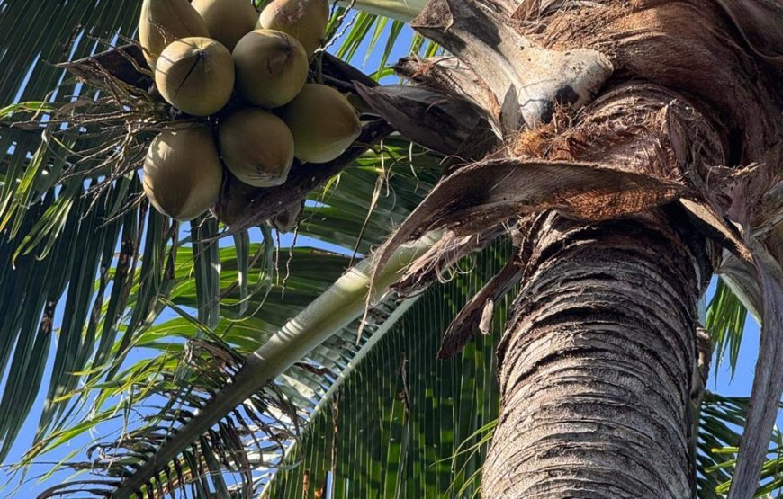 VILLA HỘI AN 5PN #RBHA12